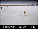   ,   
:  Dog 1-0018.jpg
: 348
:  247,2 
ID:	58124