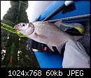   ,   
:  018_2019-05-31 ZelGear Kayak Fishing League AlfaZet.jpg
: 1147
:  59,8 
ID:	791538