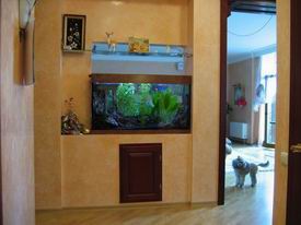 ���������� ���� � ������ �������.