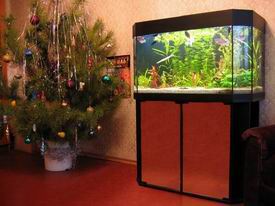 ���������� ���� � ������ �������.