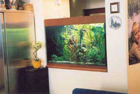 ���������� ���� � ������ �������.