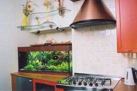 ���������� ���� � ������ �������.