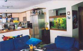 ���������� ���� � ������ �������.