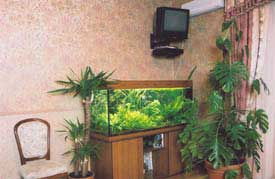 ���������� ���� � ������ �������.