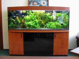 ���������� ���� � ������ �������.