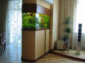 ���������� ���� � ������ �������.