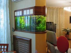 ���������� ���� � ������ �������.