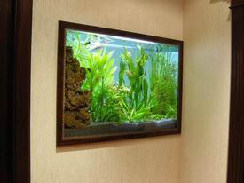 ���������� ���� � ������ �������.