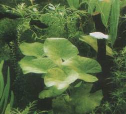 ����� ��� � ��������� ������� ���� ������