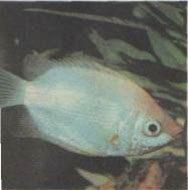 ���������� ������.