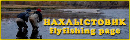 ban.jpg (26495 bytes)